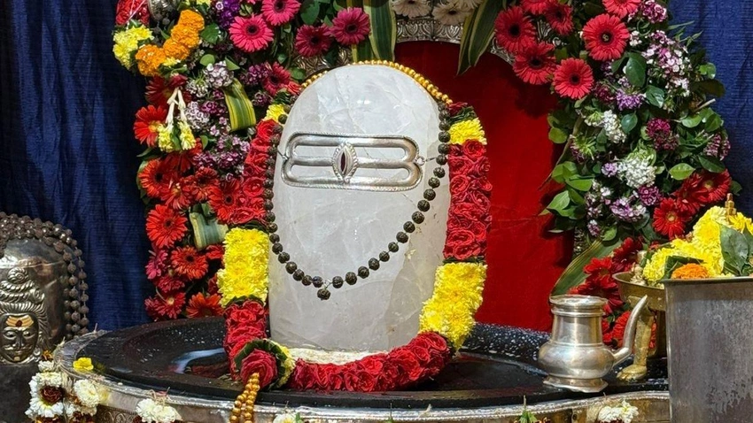 Maha Shivratri 2026: Top Wishes, Messages & Rituals Tonight