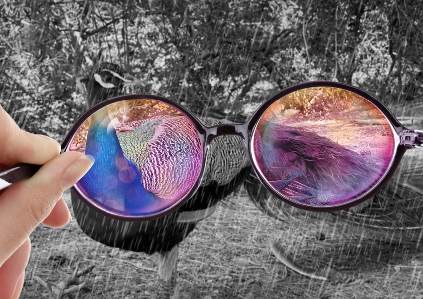 selective memory, rose tinted glasses, film reel editing