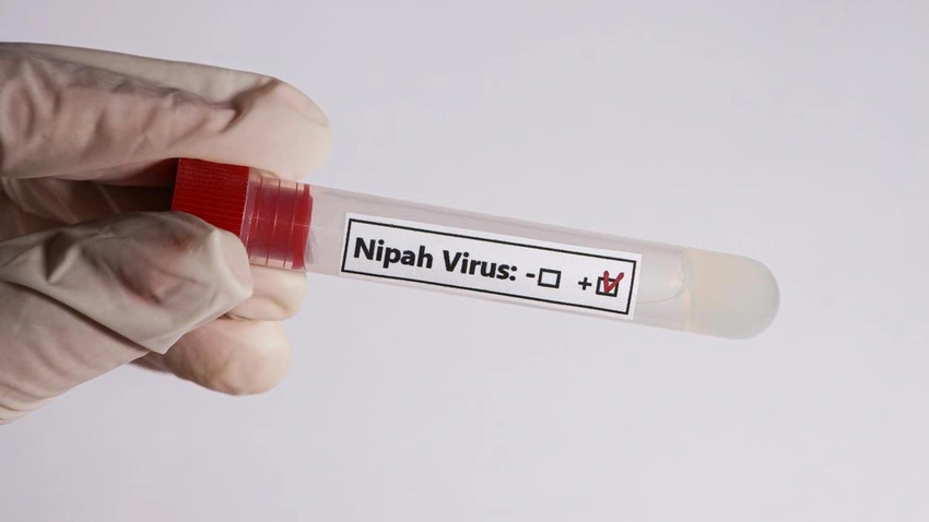 Nipah Alert in West Bengal: Two Cases, Tamil Nadu Boosts Surveillance