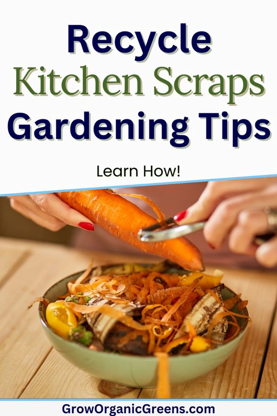 Realistic kitchen scrap gardening results