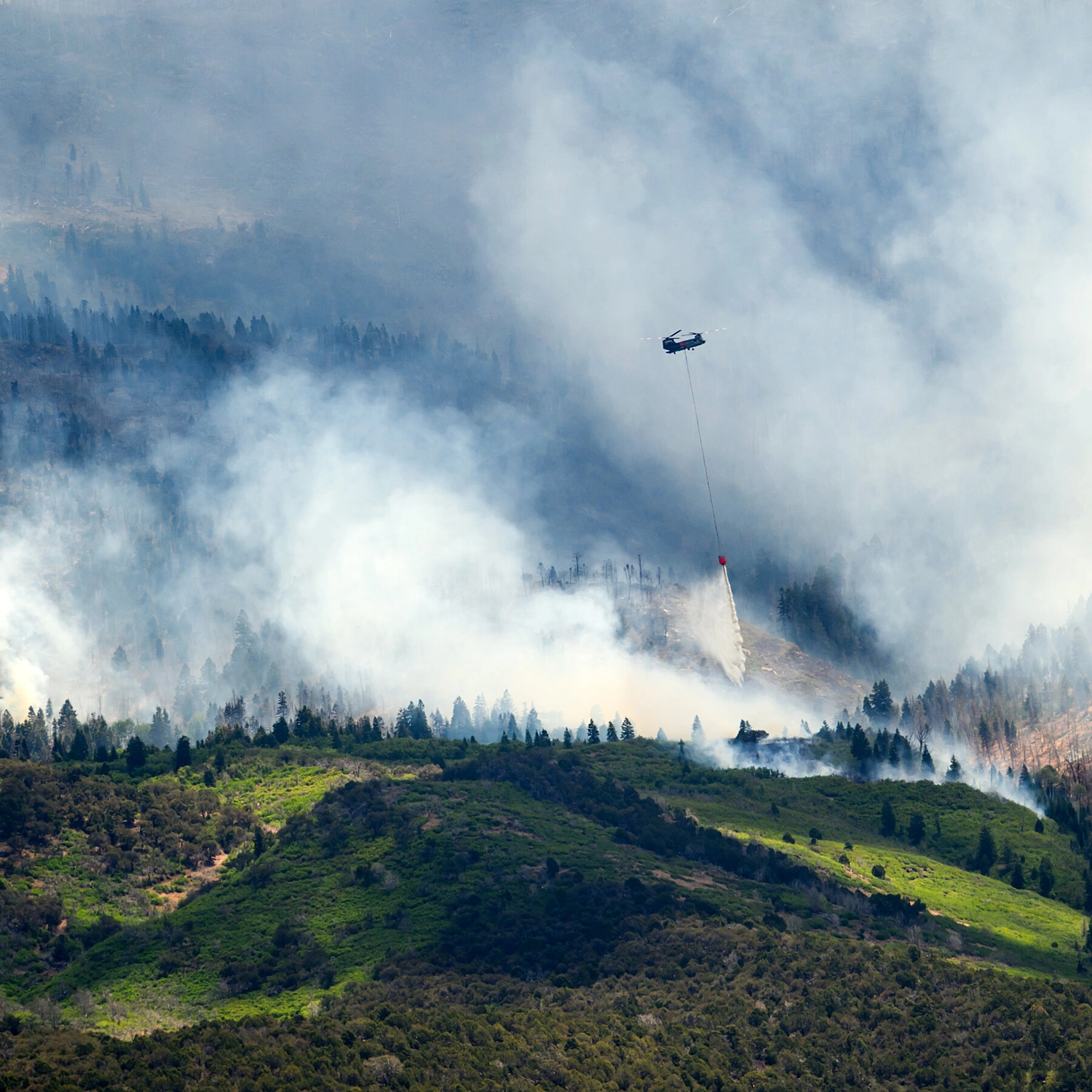 Western Wildfires Rage: Three Firefighters Die on Colorado-Utah Border