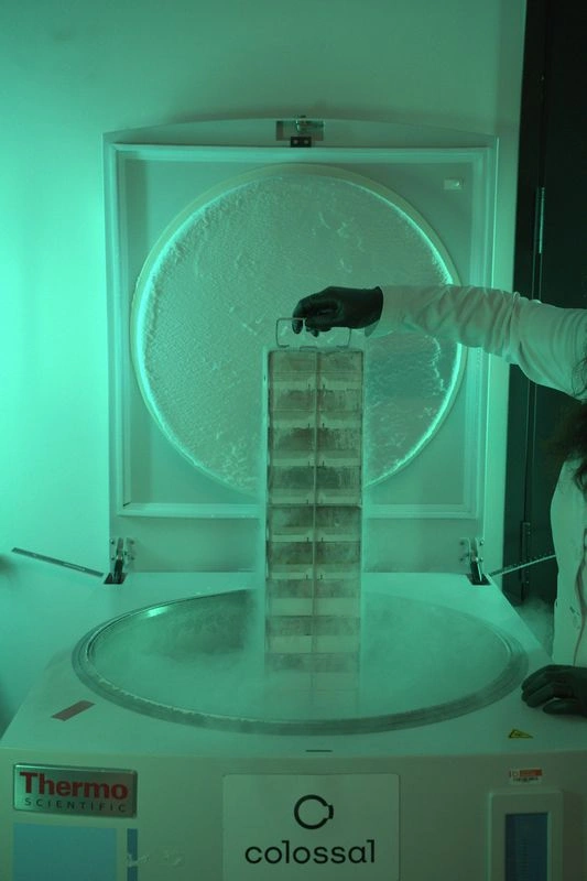 US & Colossal Biosciences Partner to Save Endangered Species DNA!