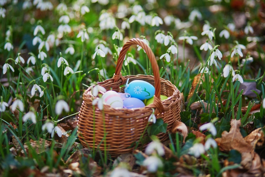 Three Dead as High Winds Topple Tree at German Easter Egg Hunt