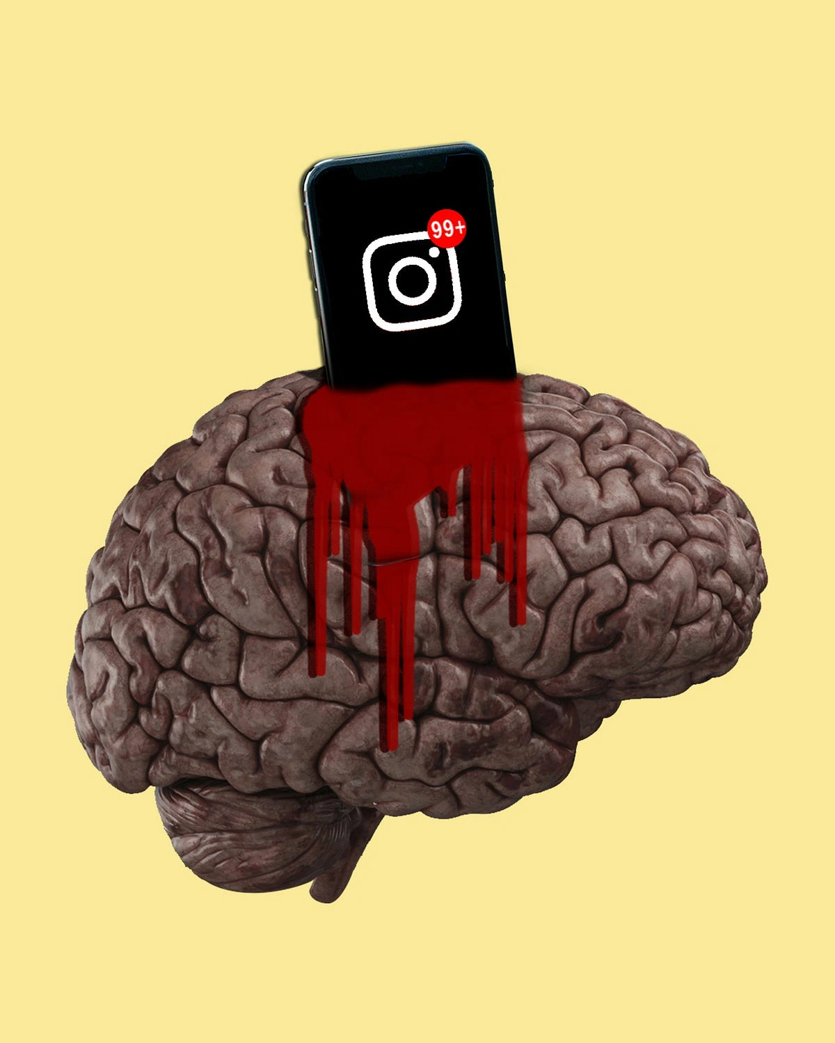 Is Your Brain Actually Rotting? The Wild Truth About Meme Culture