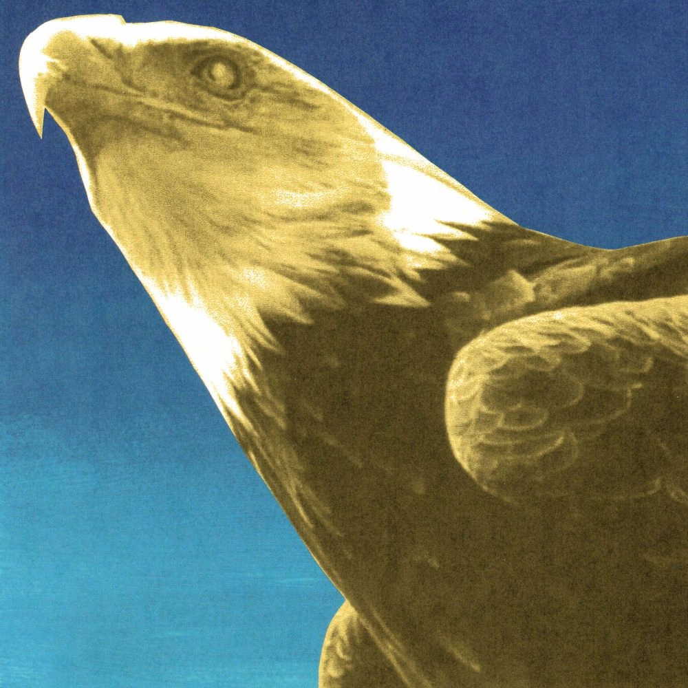Protomartyr Drop New Album 'Hotel Usona' & Single! 🎸