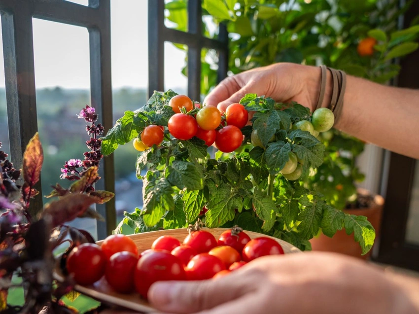 Why I am Trading My Career Ladder for a Garden Hose