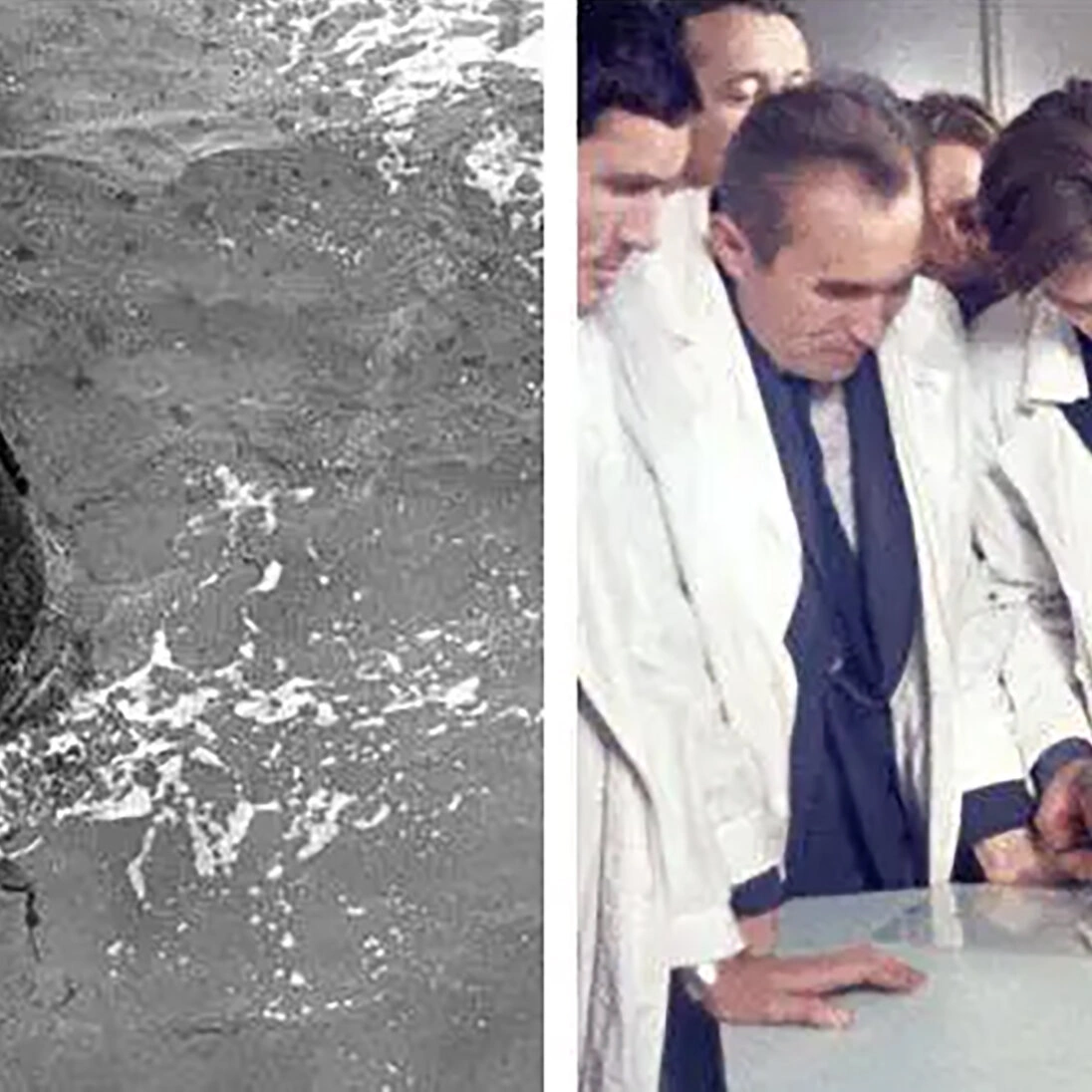 Forget Neil Armstrong: These Slow Icons Beat Humans to the Moon First