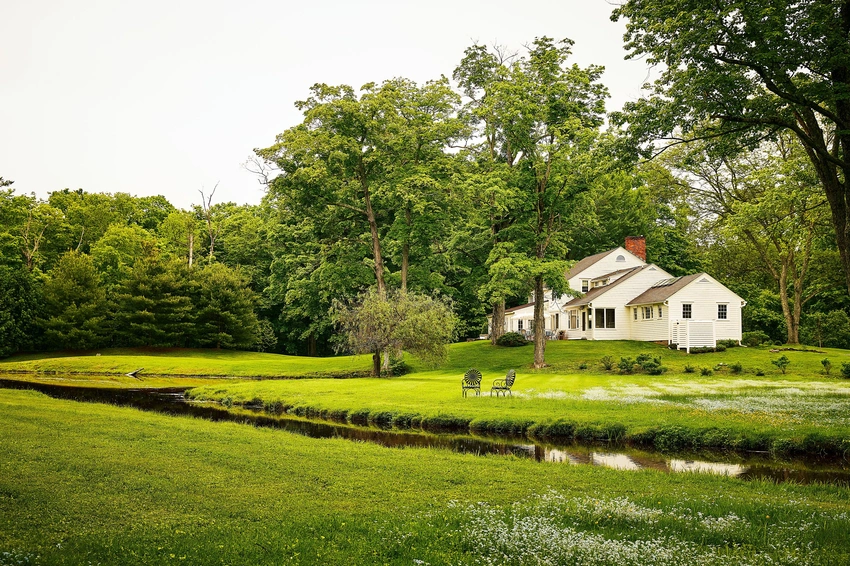 Why Your Messy Lawn Is the Ultimate Eco-Flex This Spring