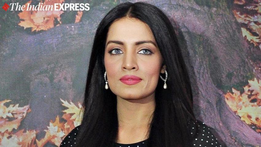 Why Celina Jaitly’s Divorce Battle is the Reality Check We All Needed