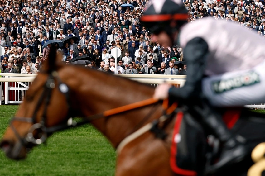 Jockey Banned Hours After Grand National Fall at Aintree