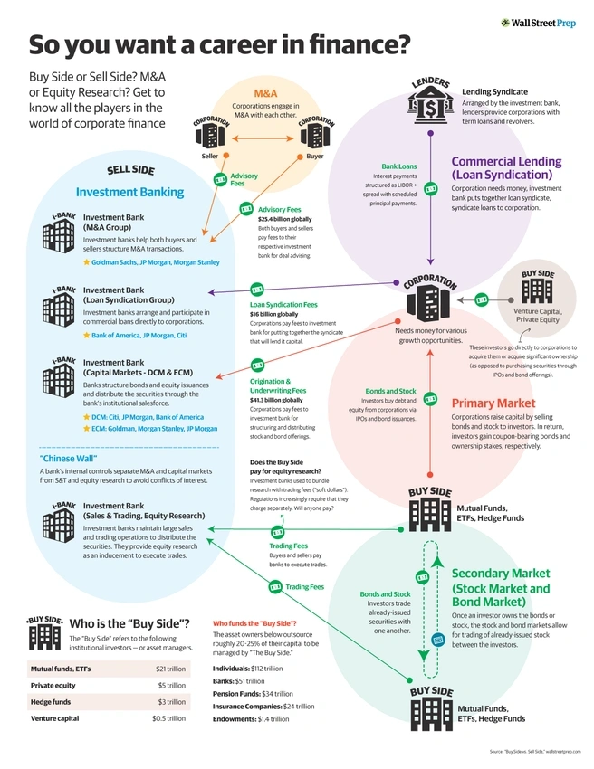 Your Money Mind: Is a Finance Career For You?