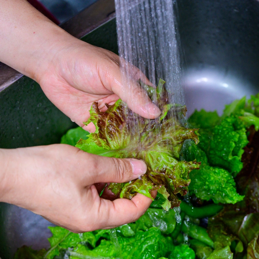 Cyclospora Outbreak Spreads: Thousands Sick, No Source Yet!