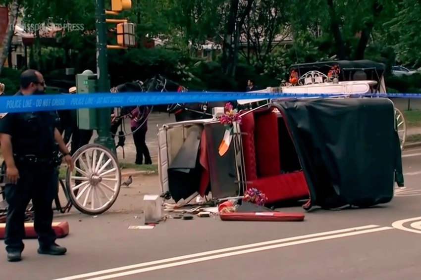Tourist's Death in Central Park Reignites Calls to Ban Horse Carriages