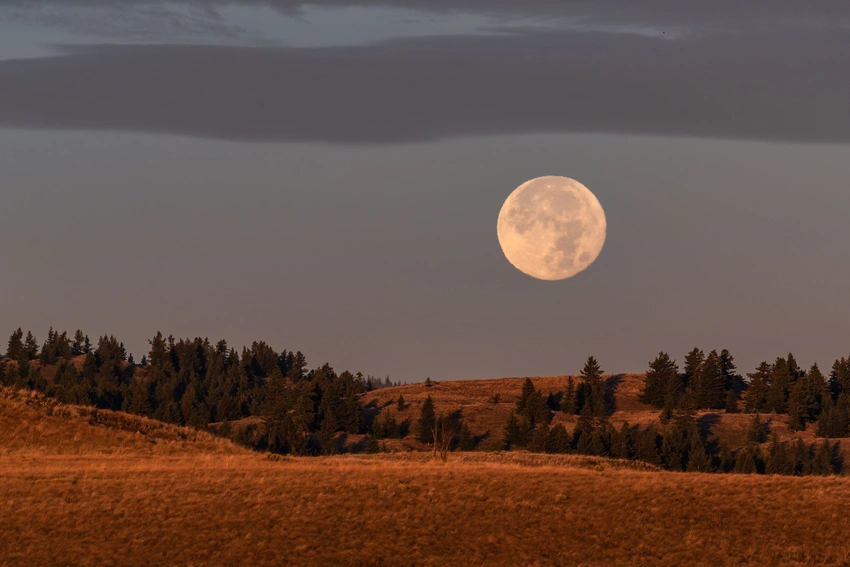Harvest Moon Magic! How to See September's Stunning Lunar Show 🌕✨