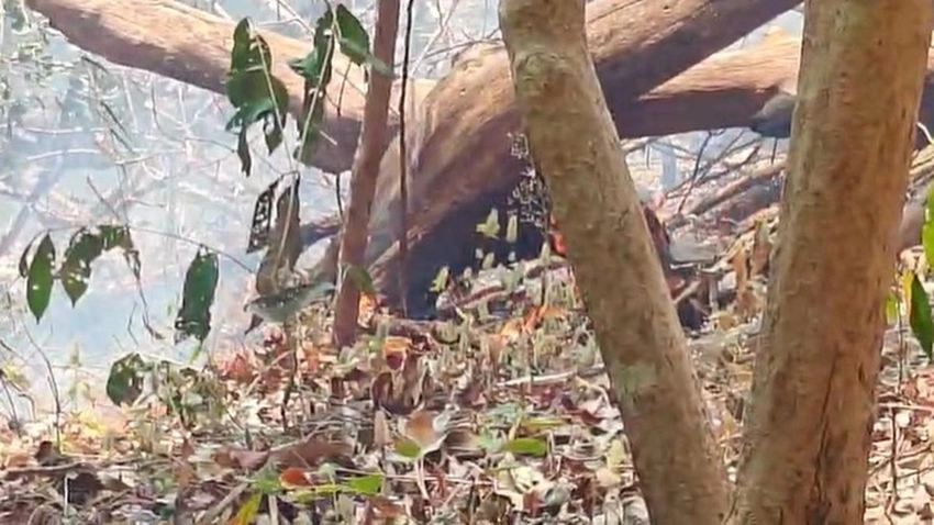 Forest fire in Kasaragod brought under control; 10 acres damaged