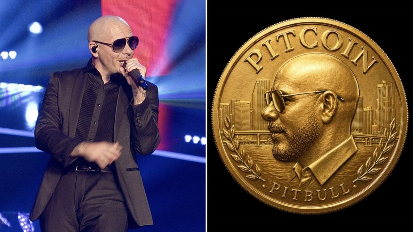 Pitcoin: When Mr. Worldwide Crashes the Meme Economy