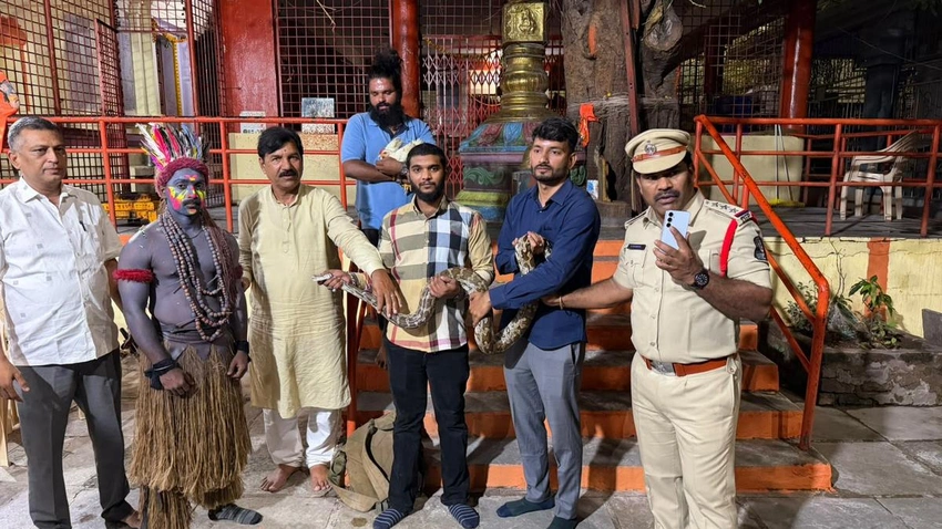 Dramatic Rescue: Python & Chicken Saved During Hyderabad Ganesh Procession! 🐍