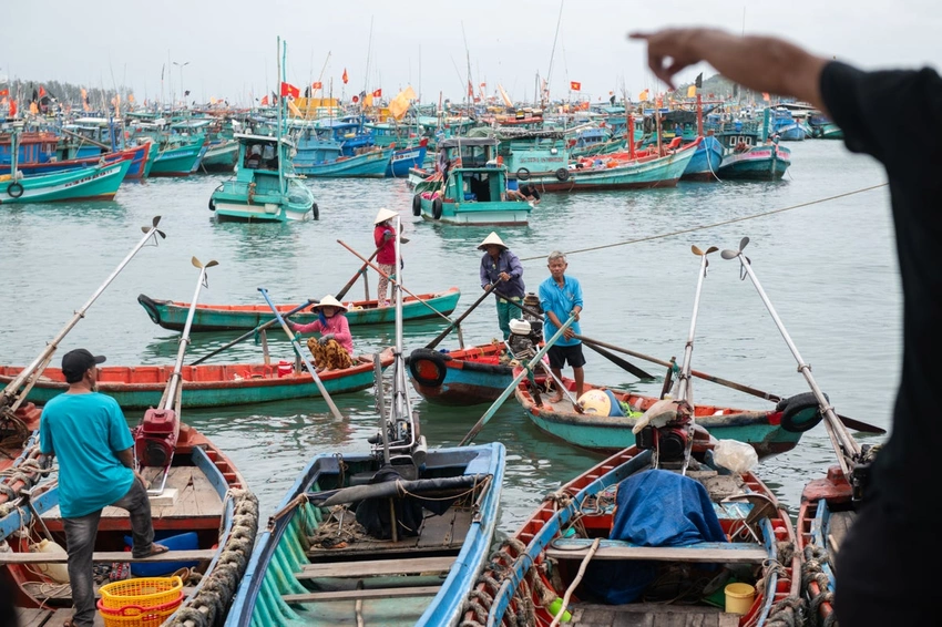 Urgent Search for 17 Missing Crew After Cargo Ship Sinks in Disputed South China Sea