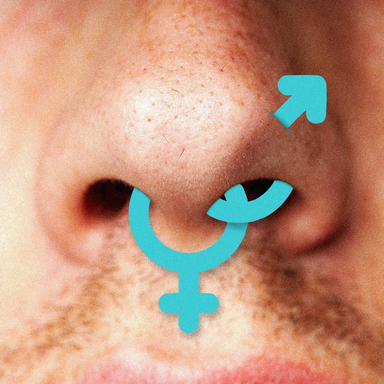 Is Your Favorite Queer App Next? The $100 Million Corporate Takeover of Sniffies