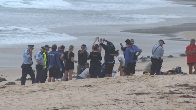 Surfer bitten as NSW records fourth shark attack in 3 days