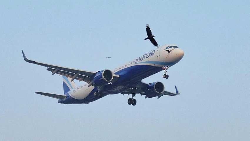 IndiGo Refunds Processed as DGCA Announces GoC Vouchers for Passengers