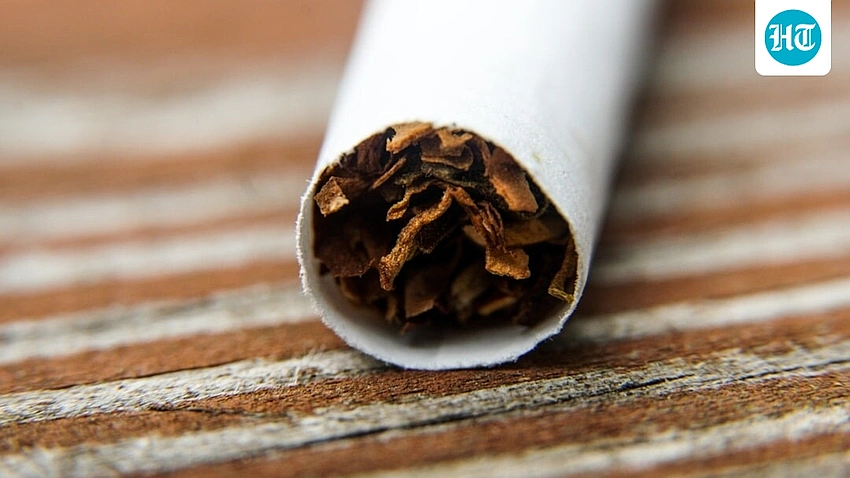 Gujarat Bans Rolling Papers and Pre-Rolled Cones Over Health Risks