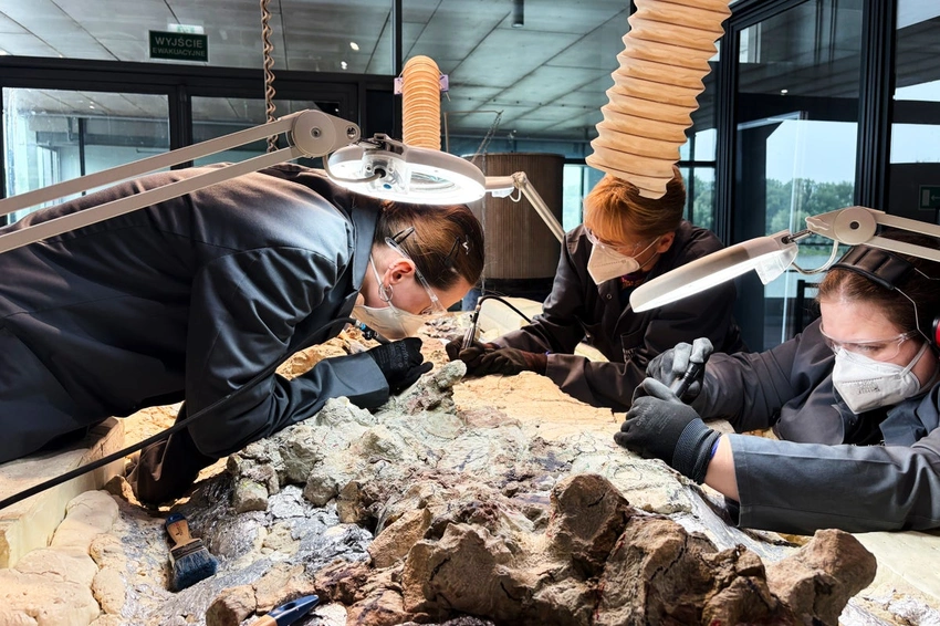 2,000 Volunteers Unearth Prehistoric Giant in Warsaw!