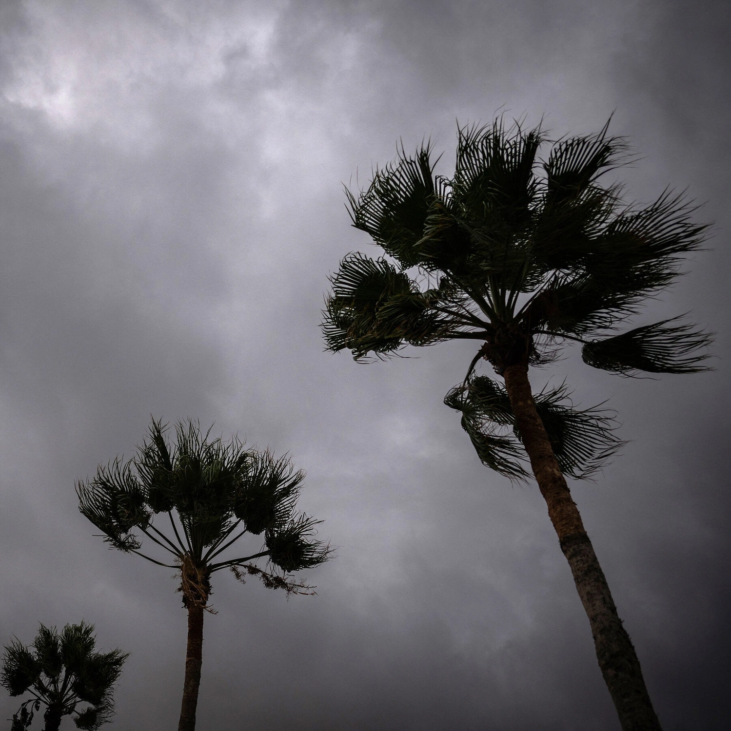 Hurricane Polo Slams Mexico's Coast, US Southwest Braces for Rain