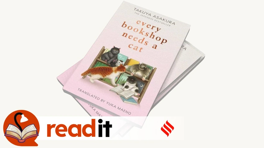 Lost Your Way? A Bookshop, Cats, & Japanese Comfort Fiction Might Help