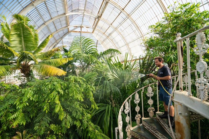 Save Kew's Iconic Palm House! £66M Renovation Appeal Launched 🌳