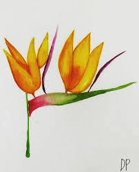 Profile Photo of ananyam21