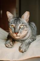 Profile Photo of bhatg_588