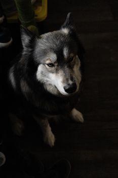 Profile Photo of bhoirk_169