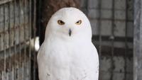 Profile Photo of bisera_garca_92