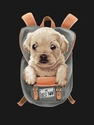 Profile Photo of bizmanga06