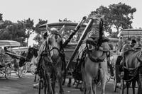 Profile Photo of case__krishanu_
