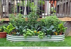 Profile Photo of desiinbetween