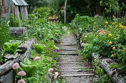 Profile Photo of faithandfatigue