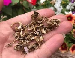 Profile Photo of gardenreads06