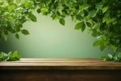 Profile Photo of greenanita