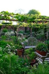 Profile Photo of greenlife07