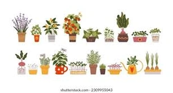 Profile Photo of greenreads06