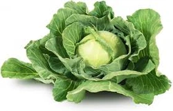 Profile Photo of growtech06