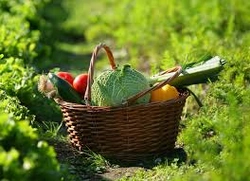 Profile Photo of hannah_quiet