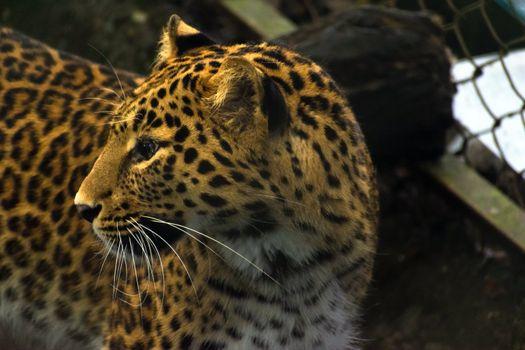 Profile Photo of ivanovj595