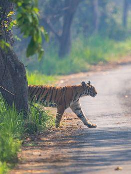 Profile Photo of kalyani_chikmat