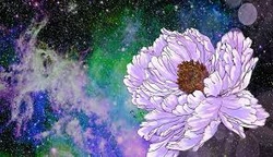 Profile Photo of karanmehta02