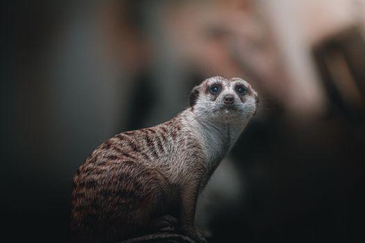 Profile Photo of koroec_fatemeh7