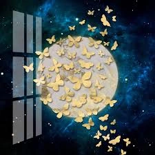 Profile Photo of mayad99