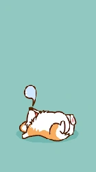 Profile Photo of meerak07